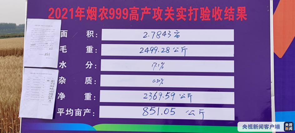 天富开户网址-851.05公斤！安徽小麦亩产再破纪录